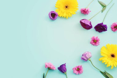 Pastel mavi arkaplan üzerinde pembe, mor ve sarı çiçek kompozisyonu. Düz yatıyordu.