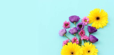 Pastel mavi arkaplan üzerinde pembe, mor ve sarı çiçek kompozisyonu. Düz yatıyordu.