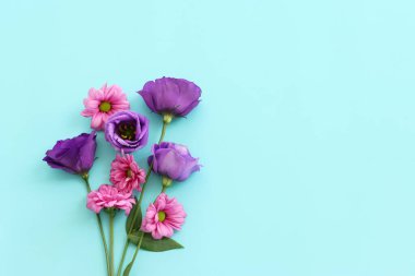 Pastel mavi arkaplan üzerinde pembe ve mor çiçeklerin üst görünümü .Düz yatıyordu.