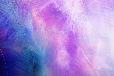 Hassas pastel tüylerin arka planı