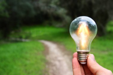 Enerji ve iş konsepti imajı. Yaratıcı fikir ve yenilik. Ormanda ampul metaforu