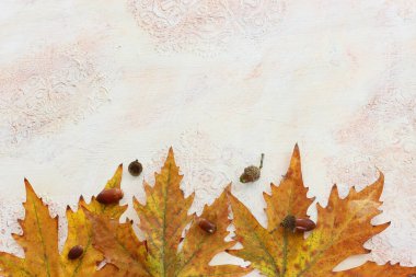 Sonbahar yapraklarının görüntüsü beyaz eski ahşap arkaplanın üzerine kapanır