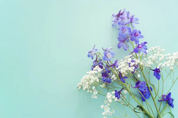 Mavi arkaplan üzerinde menekşe desenli çiçeklerin üst görünümü