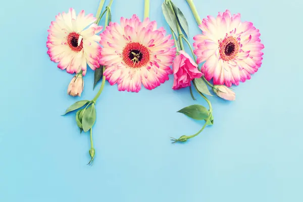 Draufsicht Bild Von Rosa Blumen Zusammensetzung Über Pastellblauem Hintergrund Flache Stockbild