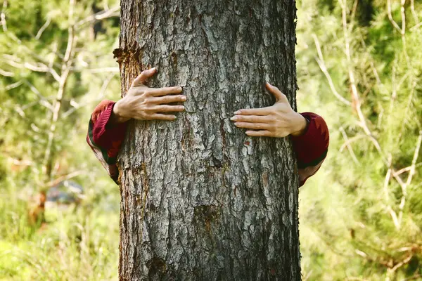 Young woman hugging tree trunk. concept of nature preservation and ecology
