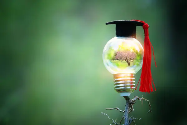 Glühbirne Und Graduierungskappe Natur Idee Von Bildung Technologie lizenzfreie Stockbilder