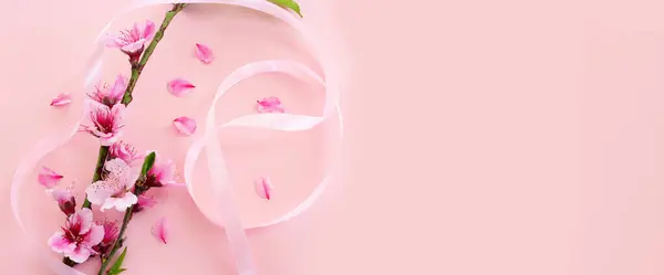 Image Printemps Fleurs Cerisier Blanc Arbre Sur Fond Rose Pastel Image En Vente