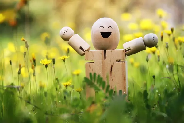 Holzfigur Der Natur Mit Lächelndem Gesicht Konzept Von Freude Glück lizenzfreie Stockbilder