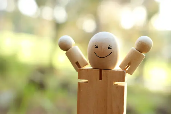 Dřevěná Postava Přírodě Usměvavou Tváří Koncept Radosti Štěstí Wellness Stock Fotografie