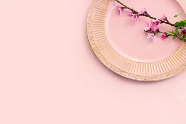 ピンクのパステルを背景に春の白桜のイメージ ストック写真