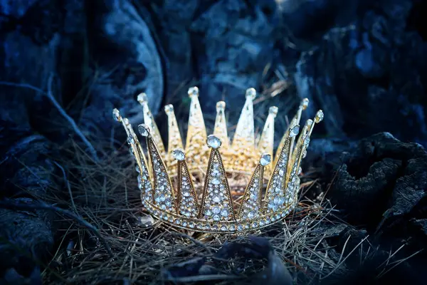 黄金王冠在森林中的神秘而神奇的照片 中世纪的概念 免版税图库图片