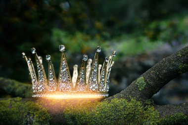 Ormandaki altın kralın gizemli ve sihirli fotoğrafı. Ortaçağ konsepti.