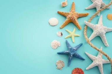 deniz yıldızları ve deniz kabukları ile mavi arkaplan üzerinde denizyıldızı kavramı