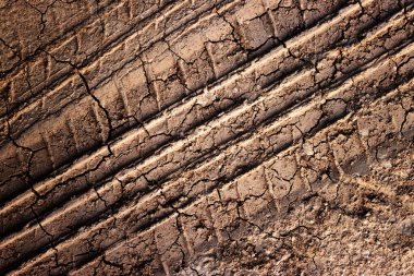 Bir arabanın kahverengi toprağı ve lastik izleri.