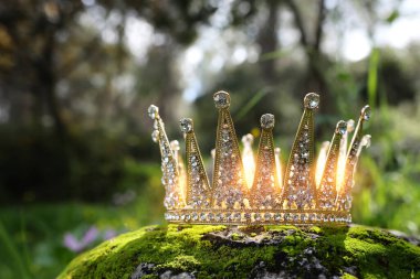 Taş üstünde güzel bir kraliçe ya da kral resmi. fantezi ortaçağ dönemi