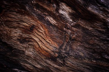 Ahşap ağaç günlük kaydı dokusunun arkaplanı