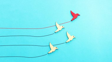 Lideri takip eden kuşların görüntüsü. Takım çalışması fikri ve ilerlemek