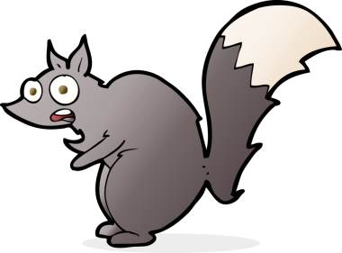 Orijinal komik sincap çizgi filmi