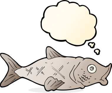 Düşünce baloncuklu orijinal karikatür balığı