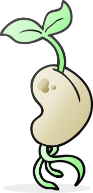 Özgün freehand çizilmiş çizgi film filizlenme tohumu