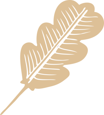 Düşen bir yaprağın orijinal karikatürü