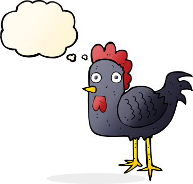 Düşünce baloncuklu orijinal tavuk.