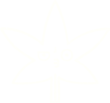 Orijinal Yaprak Tebeşiri Çizimi