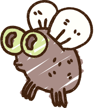 Orijinal Gross Fly Tebeşir Çizimi