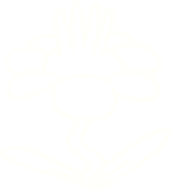 Orijinal Çiçek Tebeşiri Çizimi