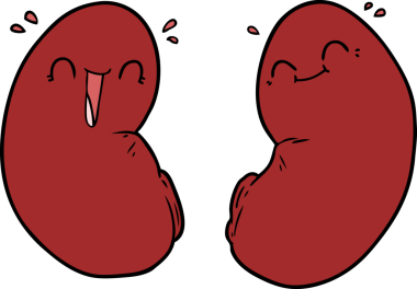 Orijinal mutlu böbrekler.