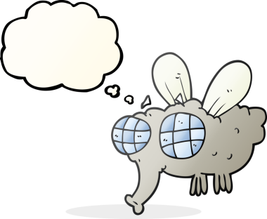 Orjinal serbest çizim düşünce balonu karikatür sineği