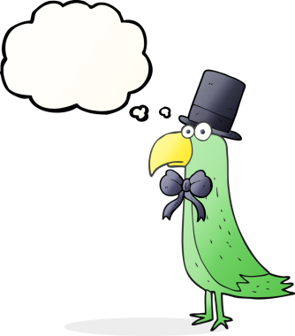 Özgün serbest çizim düşünce balonu çizgi filmi havalı papağan