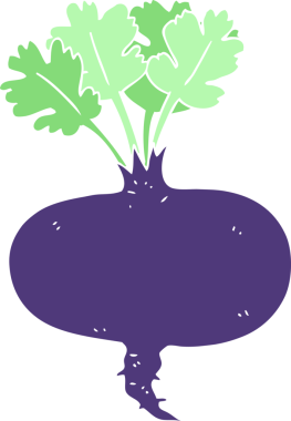 Pancar kökünün orijinal düz renk çizimi