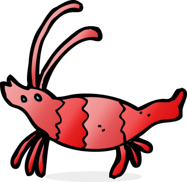 Bir insan tarafından çizilmiş karides.