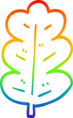 Bir insan tarafından çizilmiş bir meşe yaprağının çizimi.