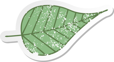 Bir insan tarafından çizilmiş yeşil bir yaprağın hüzünlü çıkartması.