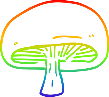 Bir insan tarafından çizilmiş kestane mantarının çizimi.