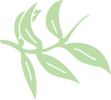 Bir insan tarafından çizilmiş garip karikatür sarmaşıkları.