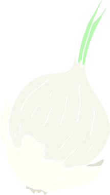 Bir insan tarafından çizilmiş sarımsağın düz renk çizimi