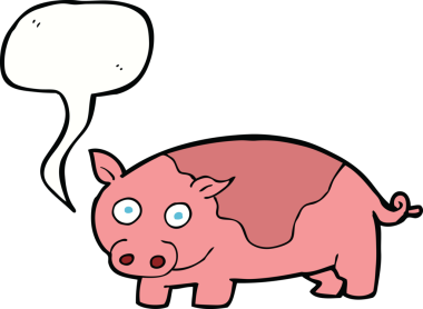 Bir insan tarafından çizilmiş konuşma balonlu çizgi film domuzu.