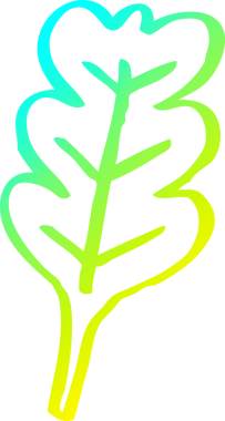 Bir insan tarafından çizilen meşe yaprağının soğuk gradyan çizgisi.