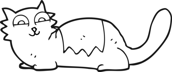 Bir insan tarafından çizilmiş siyah beyaz çizgi film kedisi.