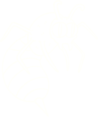 Bir insan tarafından çizilen eşekarısı tebeşiri