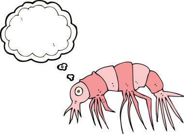 Bir insan tarafından çizilmiş düşünce baloncuklu karides.