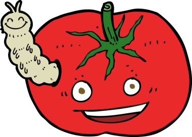 Bir insan tarafından çizilmiş böcekli domates.