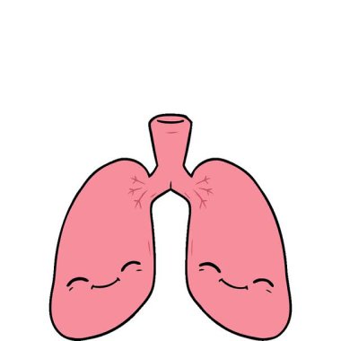 Basit bir çizgi film akciğerleri.