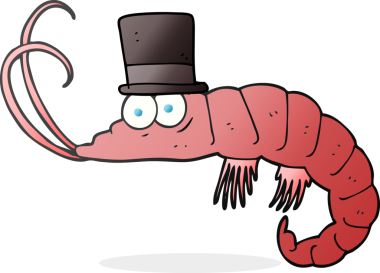 Bir insan tarafından çizilmiş karides çizimi.