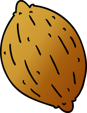 bir insan tarafından çizilmiş tek bir cevizin çizgi film çizimi