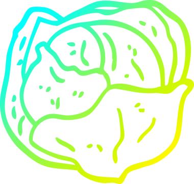 Bir insan tarafından çizilmiş bir lahananın soğuk gradyan çizimi