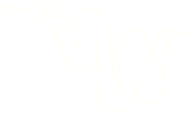 Bir insan tarafından çizilen Yılan Tebeşiri